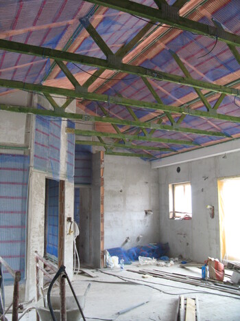 RD C&iacute;rkvice stropn&iacute; rohože 4