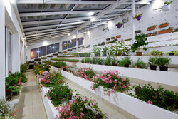 sklen&iacute;k z&aacute;py 151 6